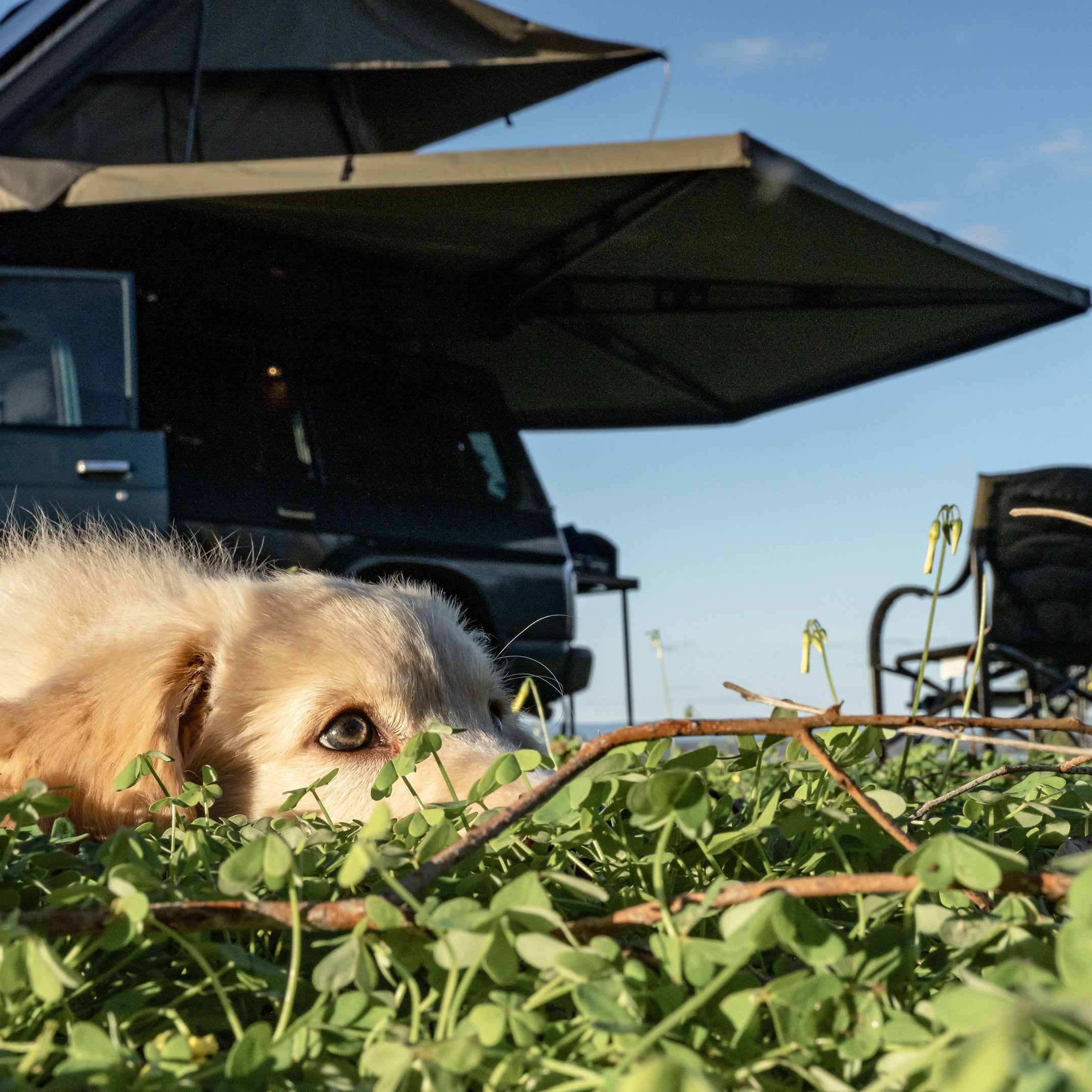 270 XT Awning Mk2 | Freestanding 270° 4x4 Awning – The Bush Company